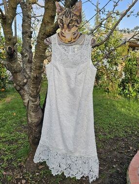 White House Black Market Floral Lace Sleeveless Sheath Dress